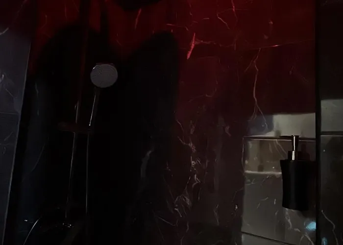 Pensión La Cosy Lyon